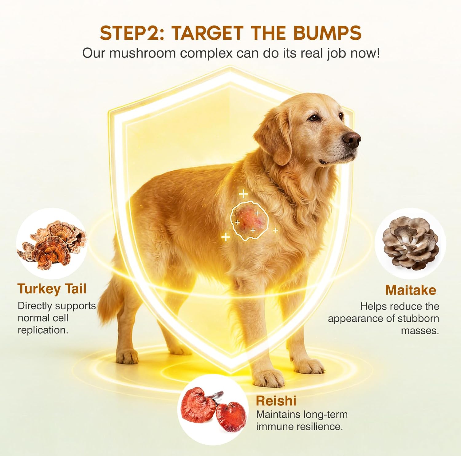Close up of natural chicken flavor soft chews designed for senior dog lipomas and bumps