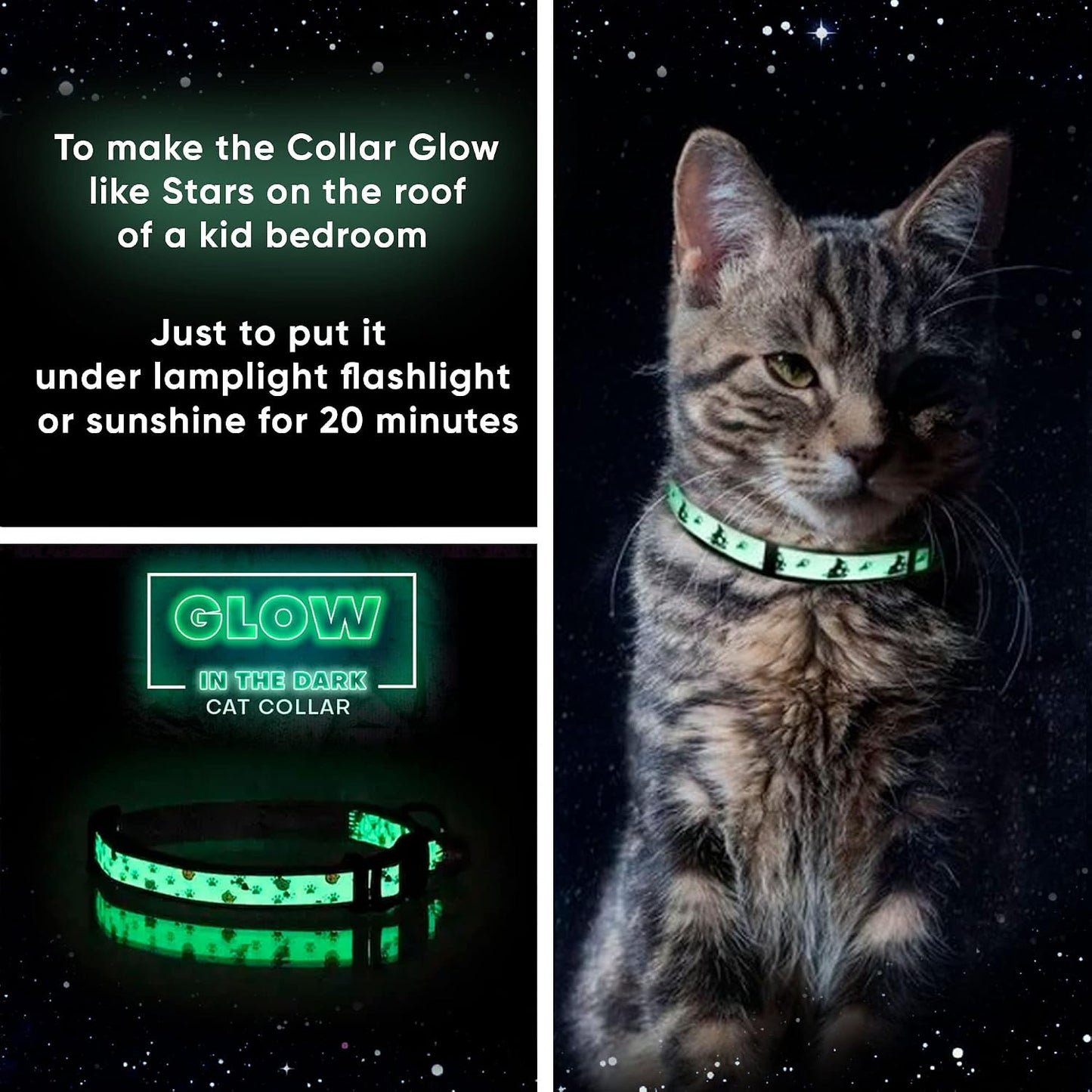 Luminous pet collar glowing in a low light environment for enhanced nighttime cat safety.