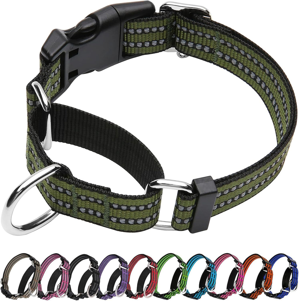 Joyeeiioo Martingale dog collar in forest green color