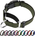 Joyeeiioo Martingale dog collar in forest green color