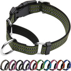 Joyeeiioo Martingale dog collar in forest green color