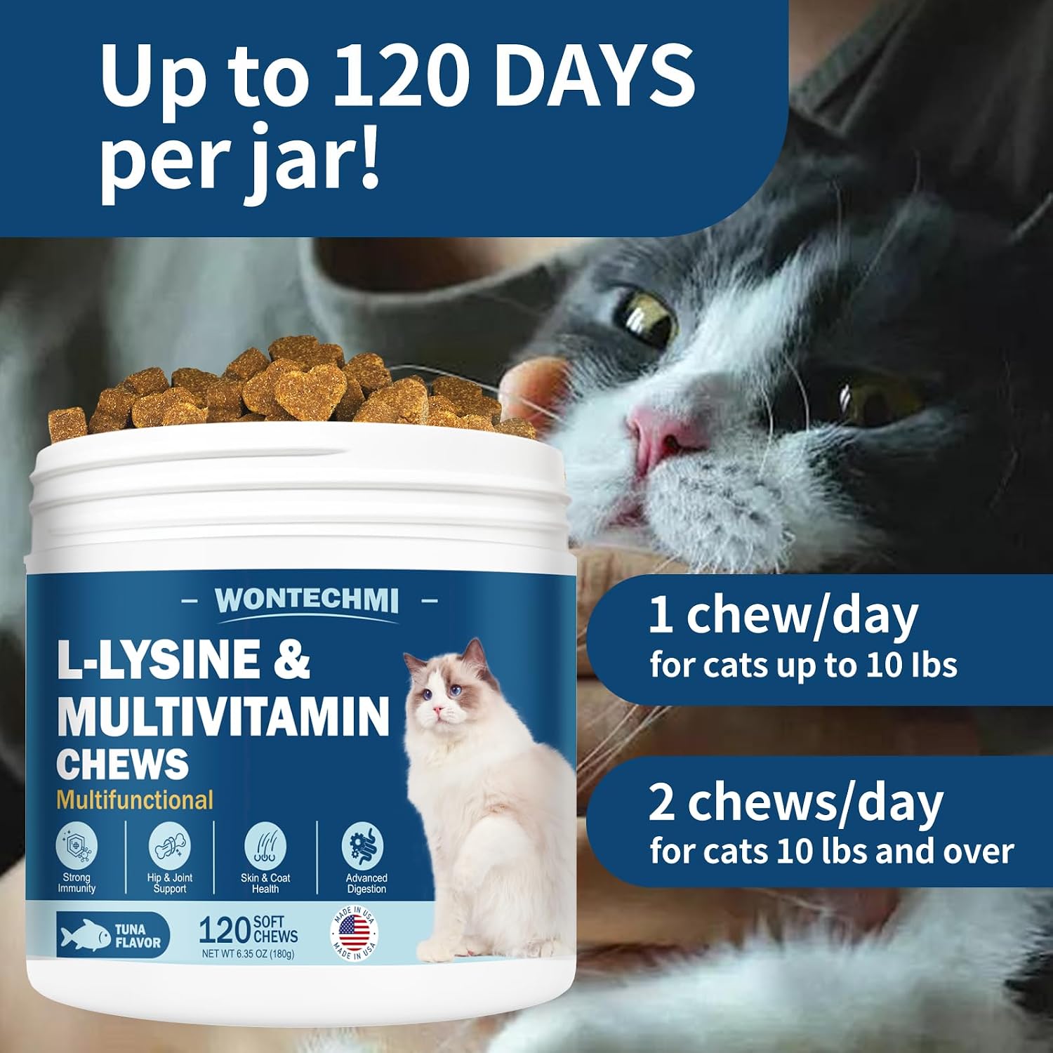 Kinpur Pet Care feline multivitamin chews demonstrating the soft texture and pet appeal.