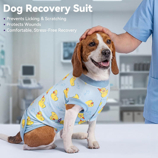 Cyeollo surgical pet onesie showing the hook and loop closure system on the back and hip area