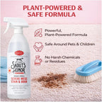 Skout's Honor dog mess stain cleaner packaging close up