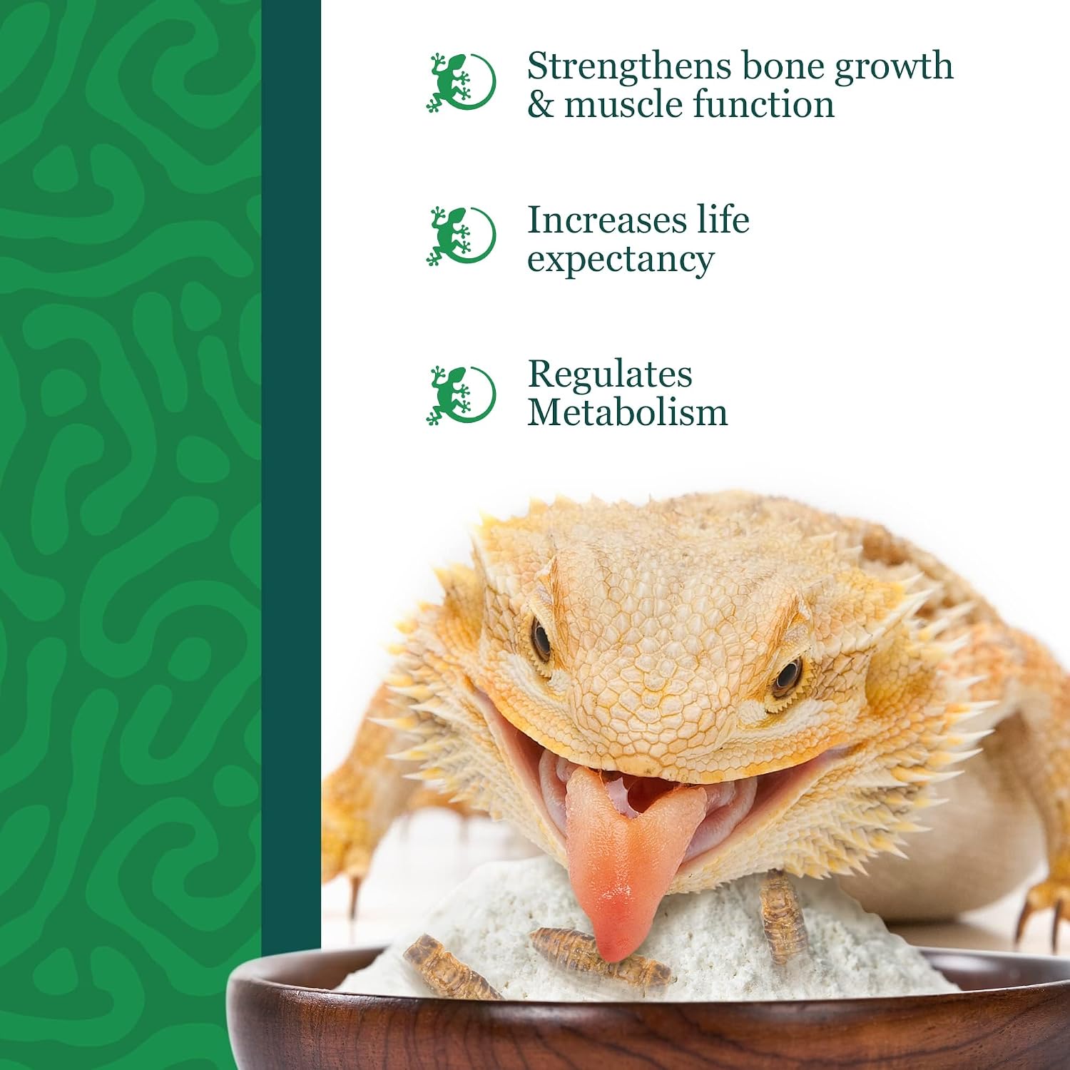 Dusting reptile food with CoCoo calcium supplement