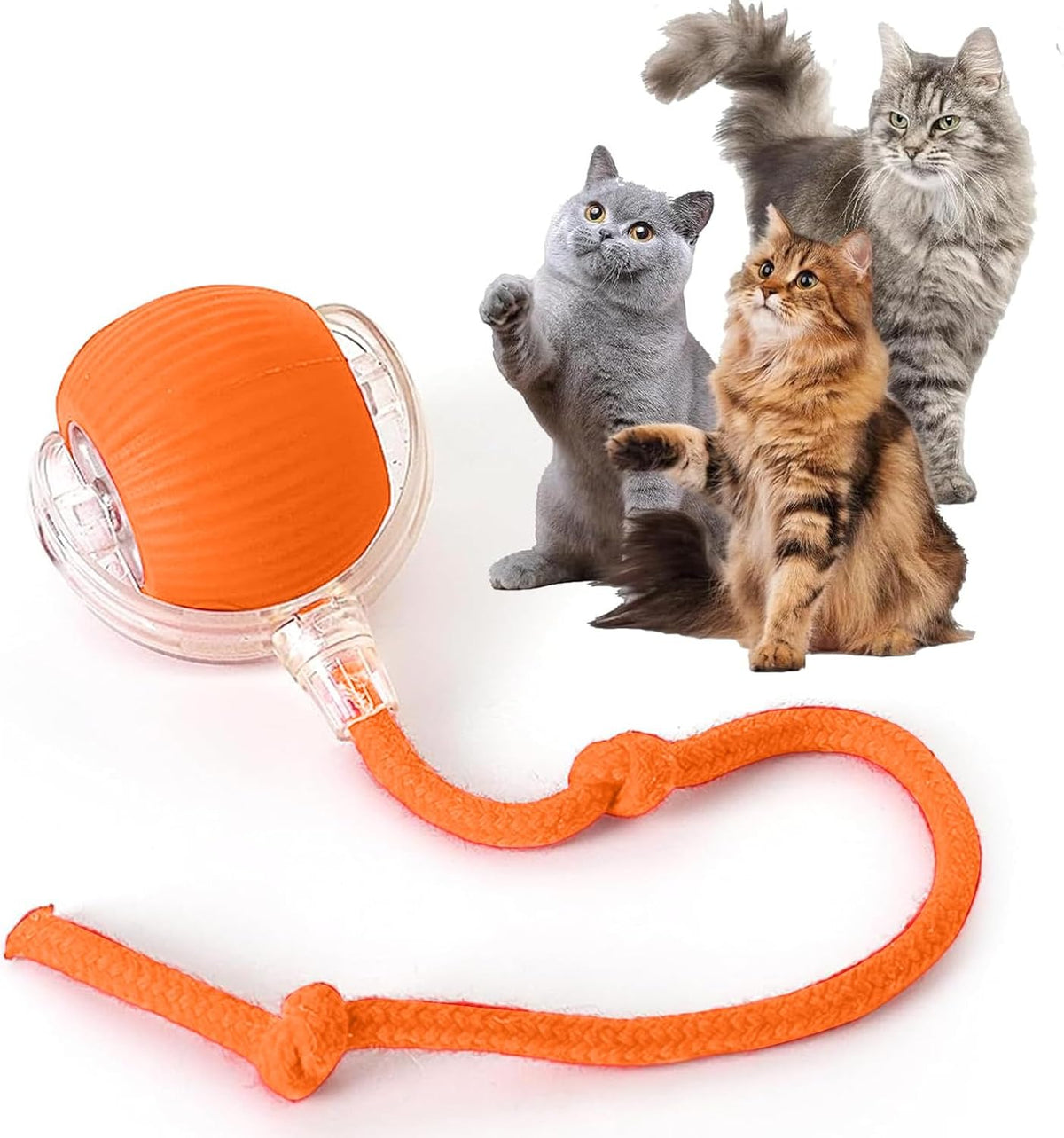 Rocfish Durable Interactive Cat Toys for Indoor Cats, Smart Automatic Cat Chase Ball Toy, Upgraded Speedy Tail Kitten Toy for Bored Indoor Adult Pets (Red) - Image 15