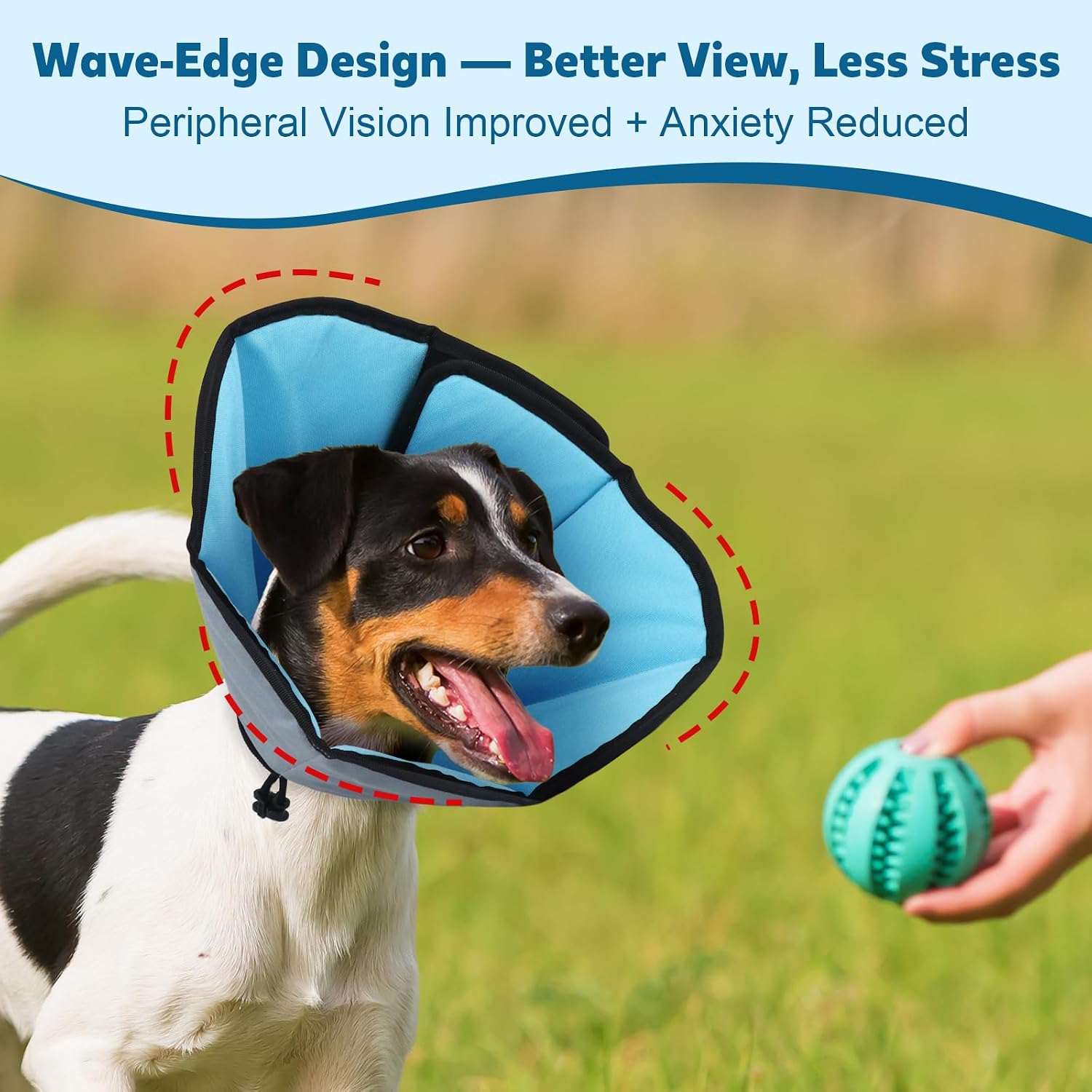 Soft lightweight puppy collar for stress-free veterinary healing