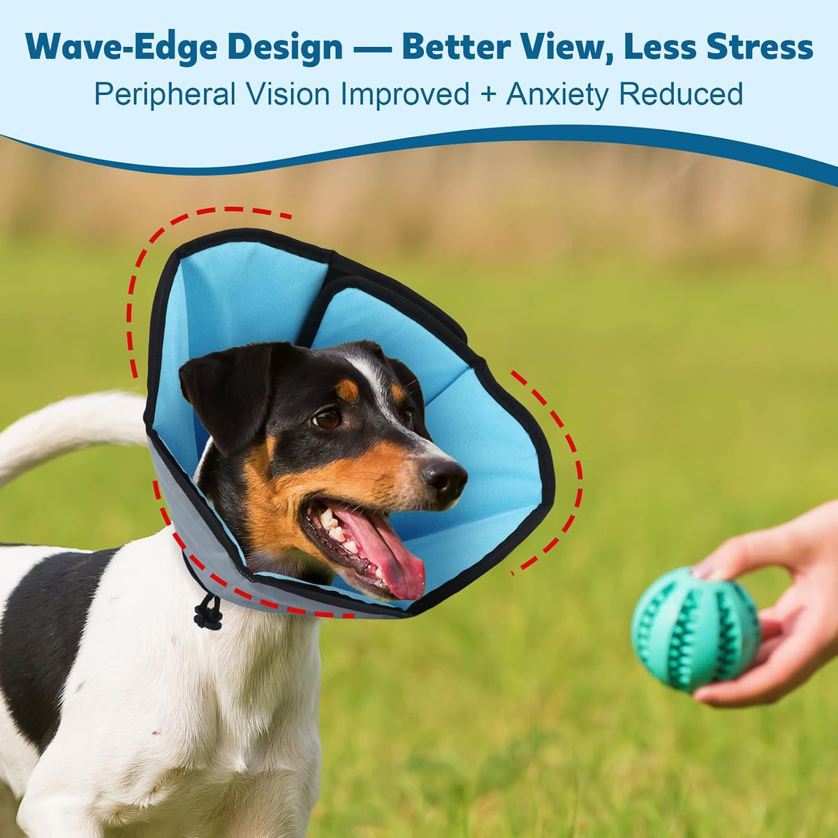 Soft lightweight puppy collar for stress-free veterinary healing