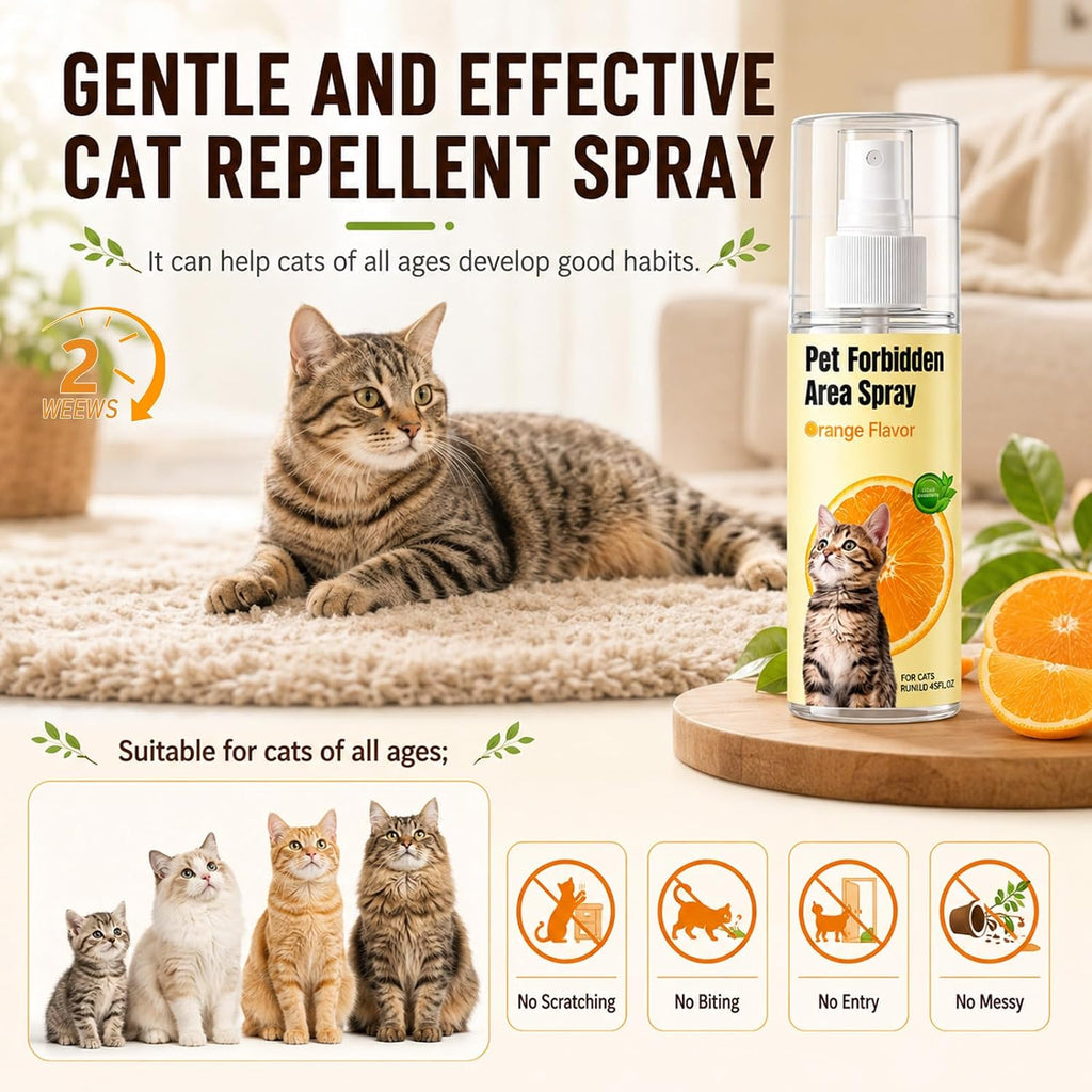 Non-toxic behavior training aid for kittens