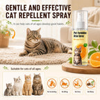 Non-toxic behavior training aid for kittens