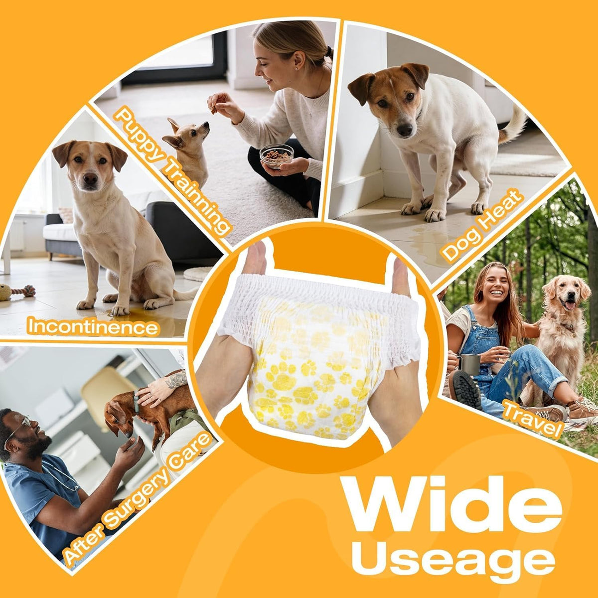 Anatomy fit diagram for Pet Soft female dog incontinence diapers