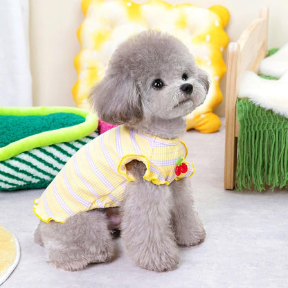 Two pack puppy shirts for spring and summer outfits