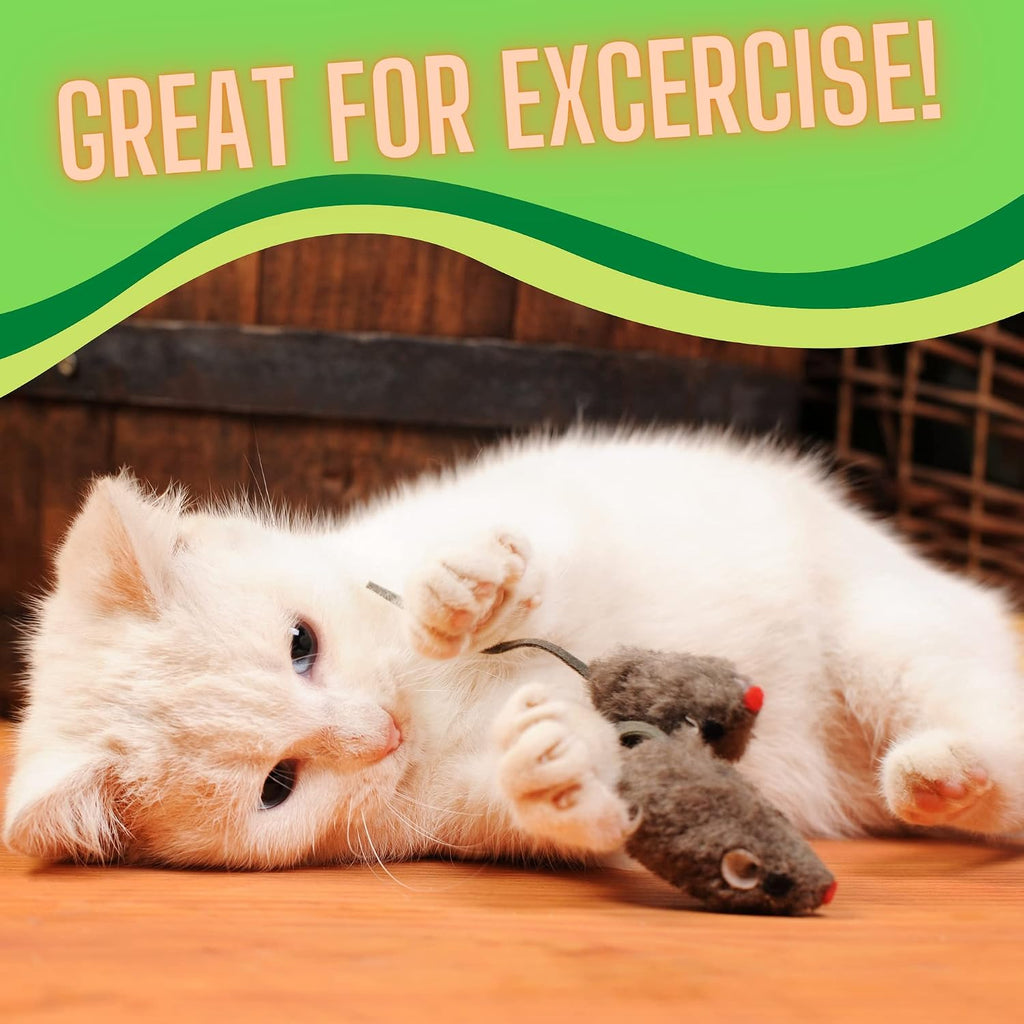 Detailing the size and realistic shape of the Smokey's Stash kitten toy.
