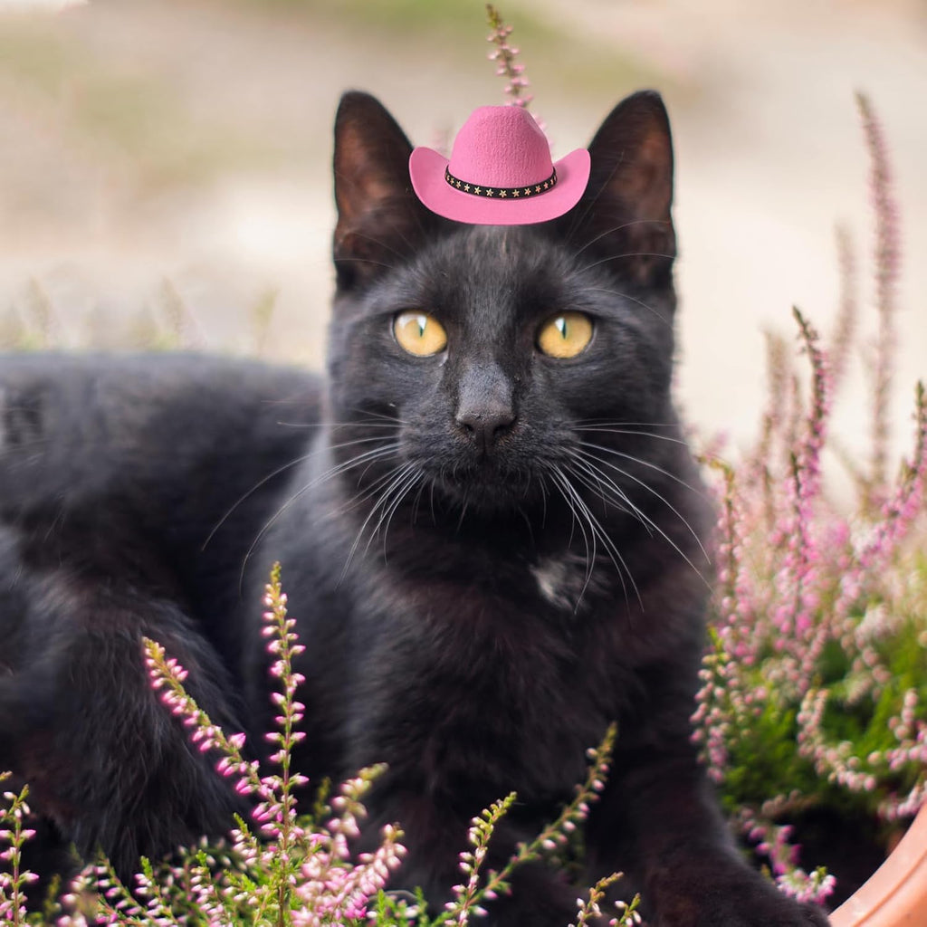Awocan dog cowboy hat with adjustable chin strap
