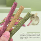 Erkoon natural molar chew toys close up