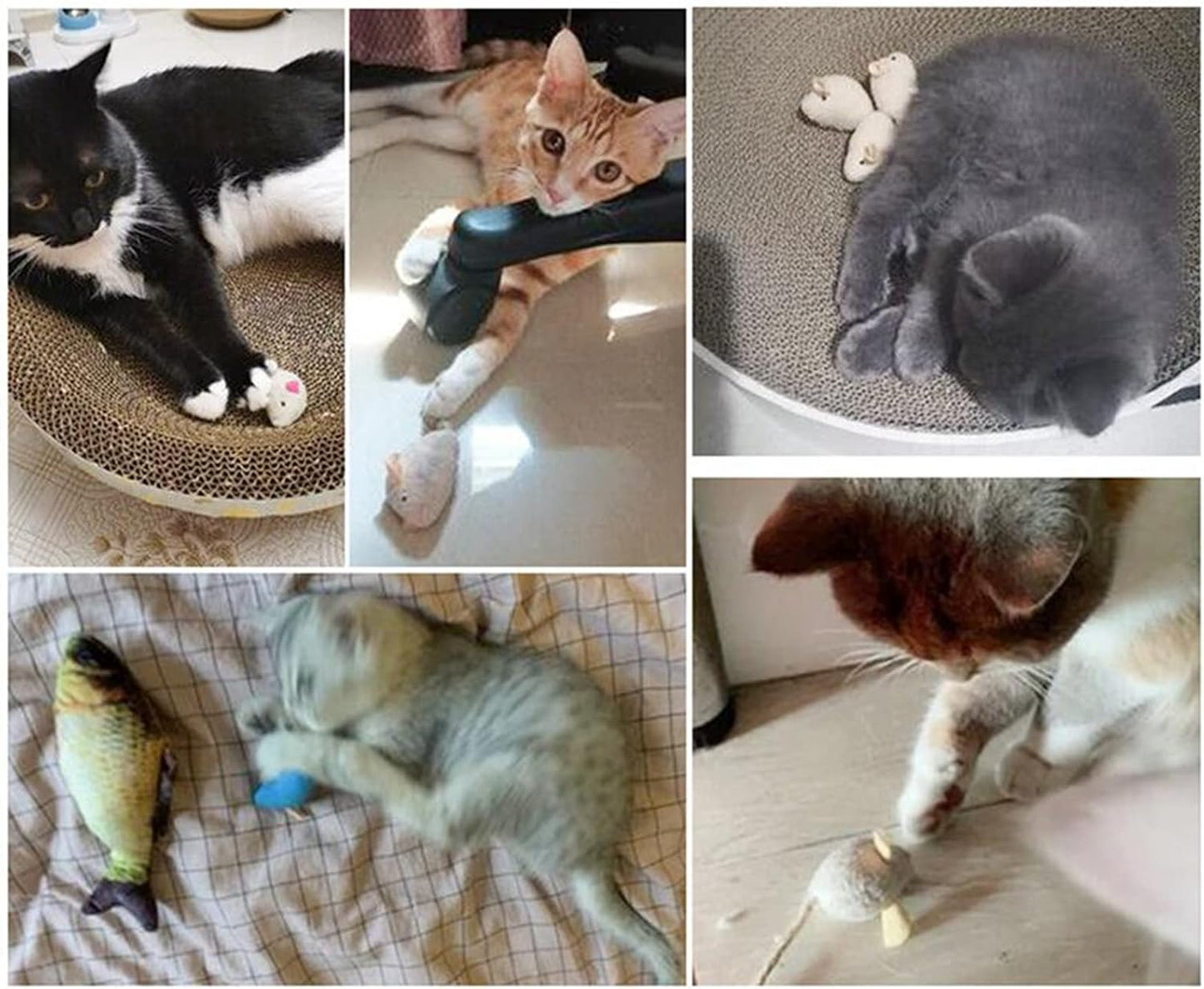Lightweight kitten exercise toys packaged for pet engagement