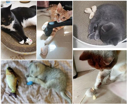 Lightweight kitten exercise toys packaged for pet engagement
