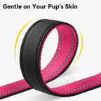 Joytale reflective dog collar glowing in low light conditions