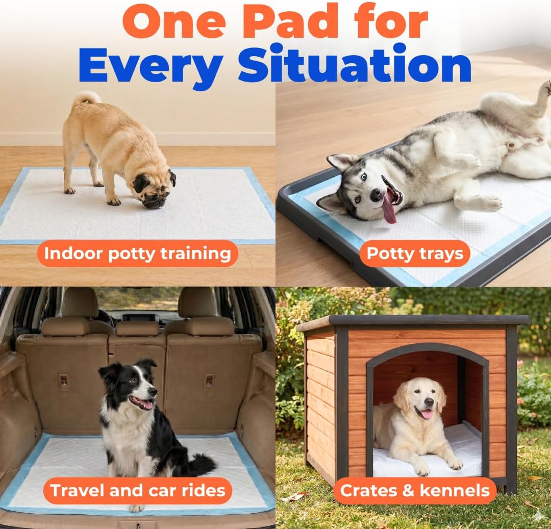 Absorbent gel technology demonstration on large pet waste pads