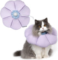 H HIDREAM cat cone collar purple flower front view on a kitten