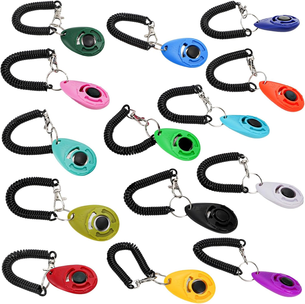 Durable animal training clicker held in hand during pet exercise