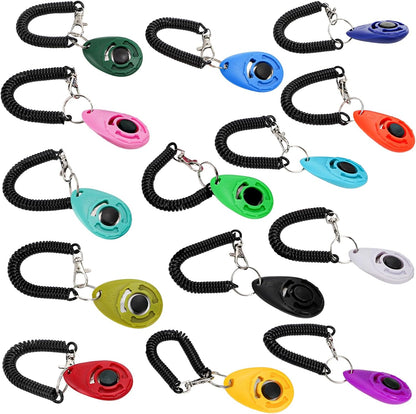 Durable animal training clicker held in hand during pet exercise