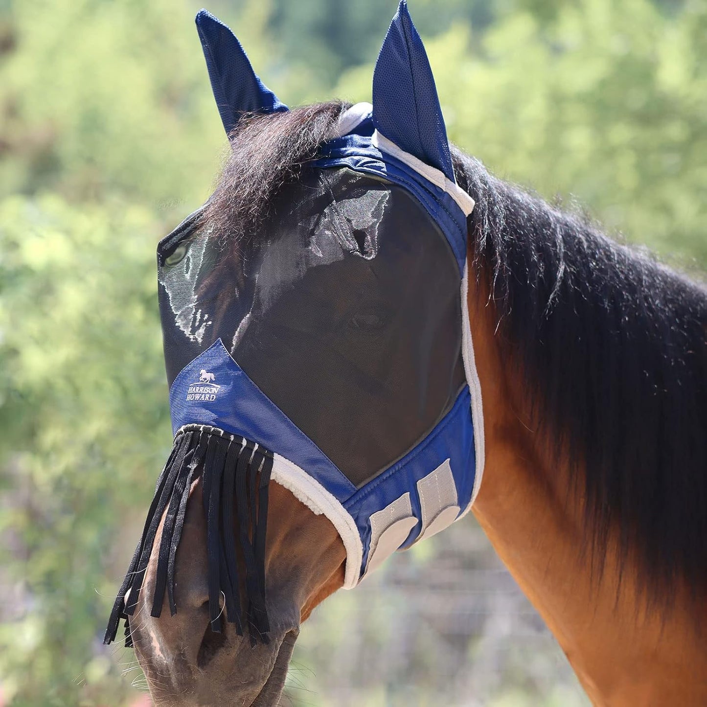 Back view of fly mask showing secure touch closures