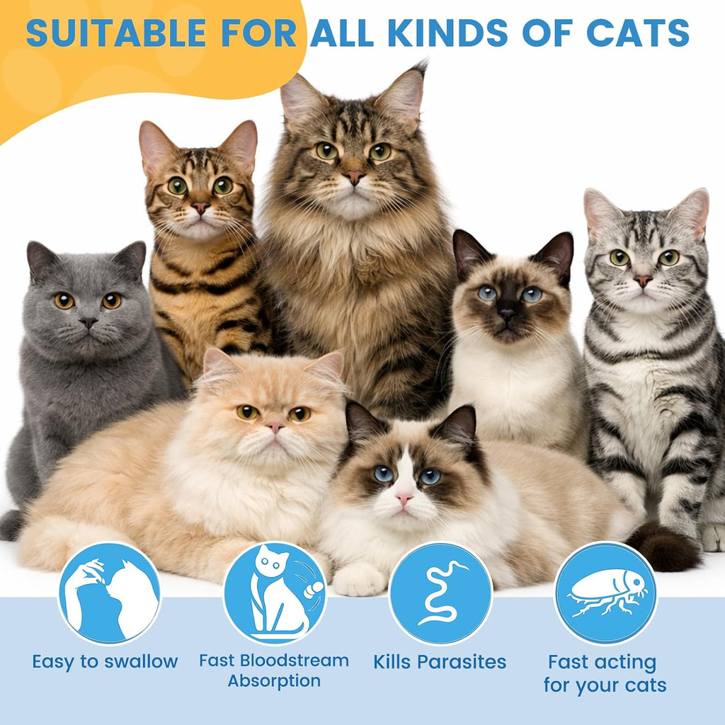 Back label of Morvequa cat dewormer highlighting effectiveness against tapeworms, roundworms, and hookworms.