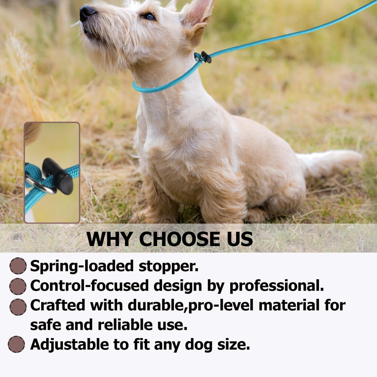 Fursdoly durable nylon rope leash for small medium large dogs