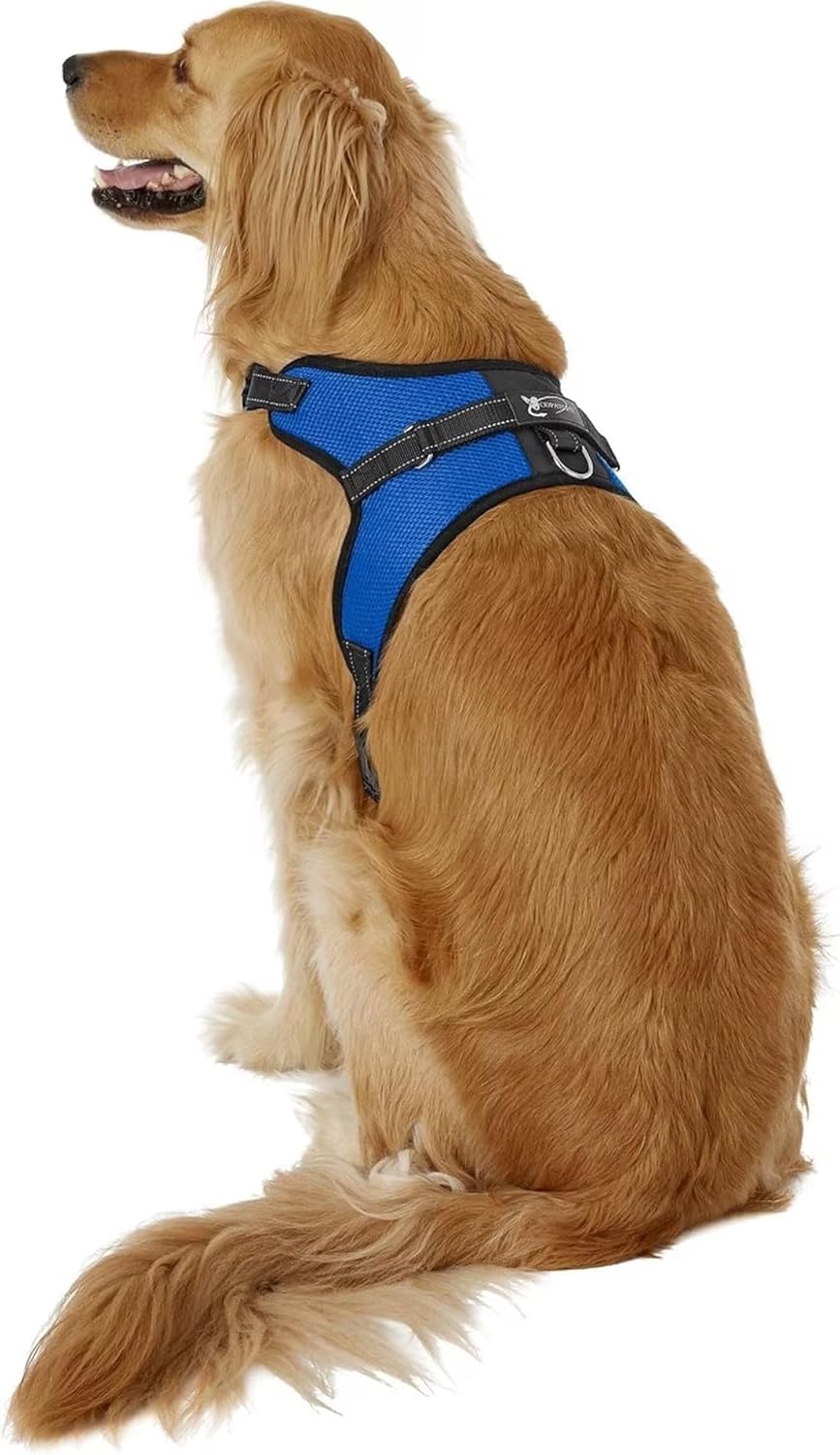 No Pull Reflective Adjustable Dog Harness with Handle- Comfortable Soft All Weather Mesh, Easy On Puppy Harness for Small Medium and Large Dogs (Red) Small - Image 10