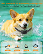 Remote control interface of FWQEFVA dog training system