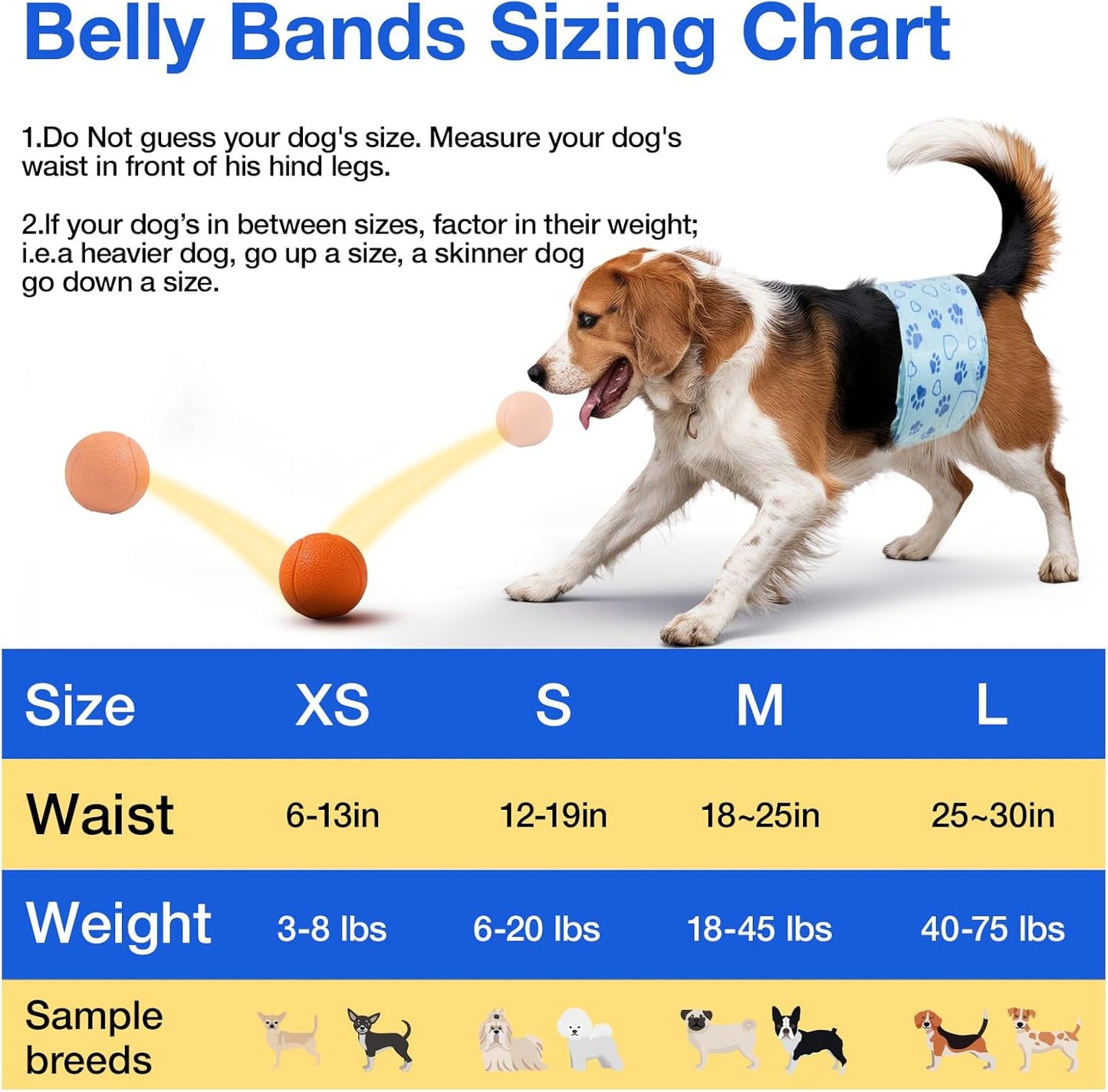 Side profile of the ultra thin disposable belly band design for small male dogs.