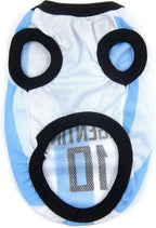 Close up of breathable mesh fabric on GabeFish dog shirt