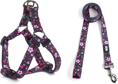 Measurement guide for QQPETS adjustable dog harness