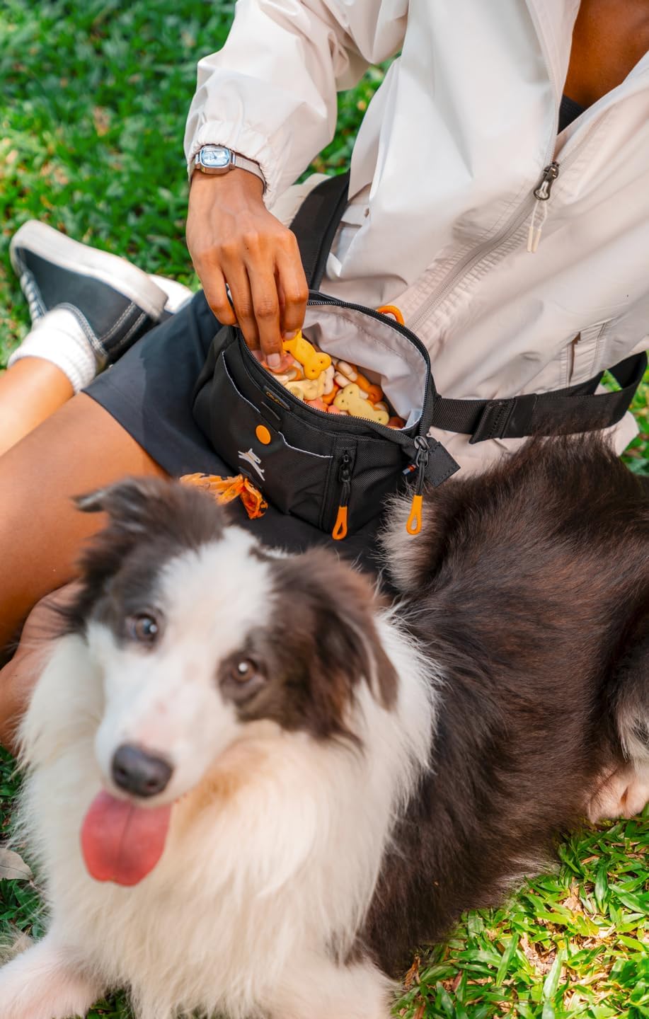 OllyDog hands free dog training treat pouch worn as a fanny pack with adjustable waist belt