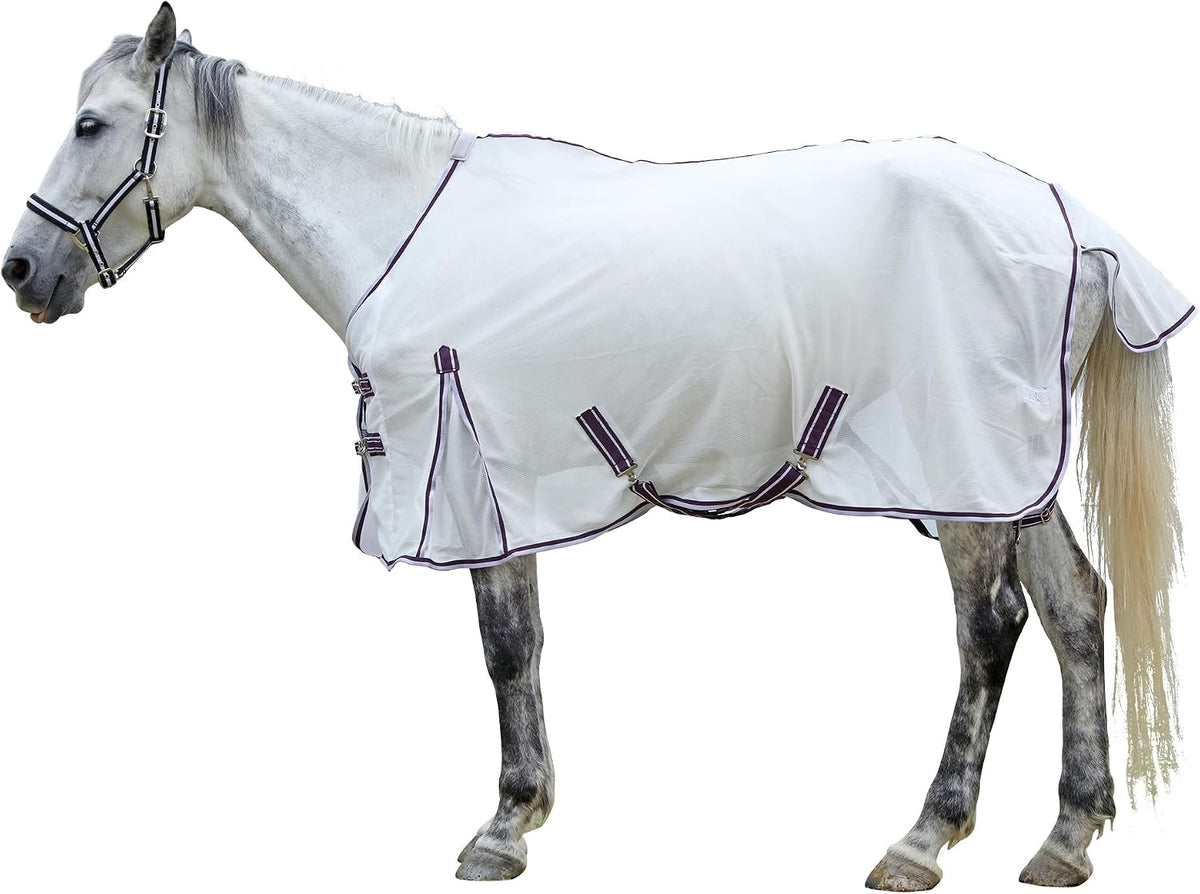 LEAFOREST horse fly sheet 84 inch front view on horse