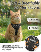 Luxelle kitten harness with built in tracker pocket close up
