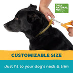 Only Natural Pet collar showing adjustable fit for various dog sizes