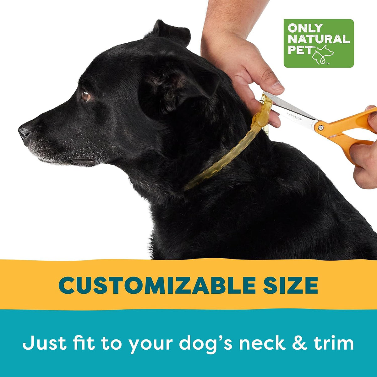 Only Natural Pet collar showing adjustable fit for various dog sizes