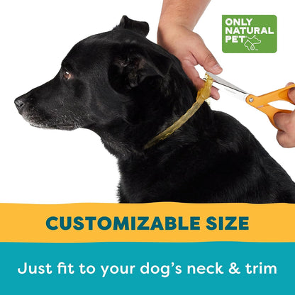 Only Natural Pet collar showing adjustable fit for various dog sizes