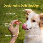 Dog eating Penpen probiotic soft chew supplement