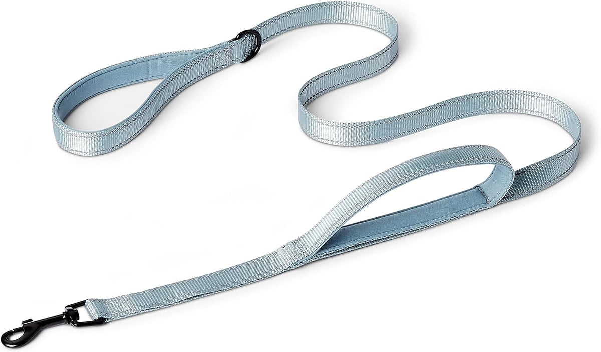 Adjustable dog car safety strap in black blue and orange
