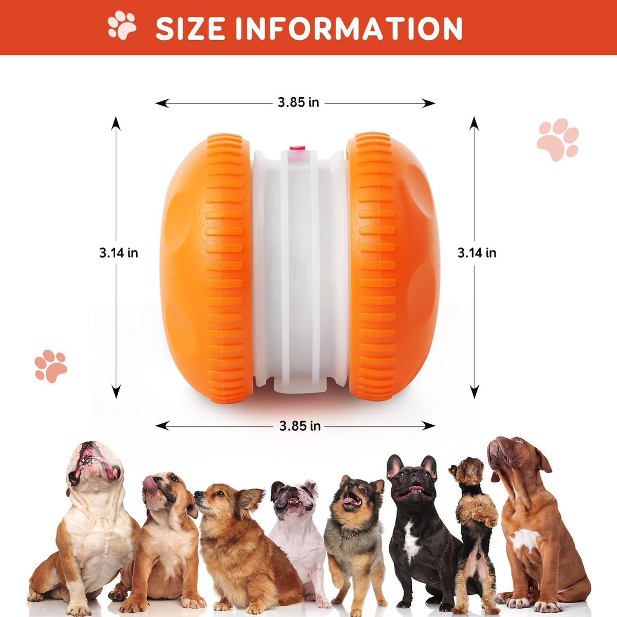 QGI interactive dog toy packaging and components
