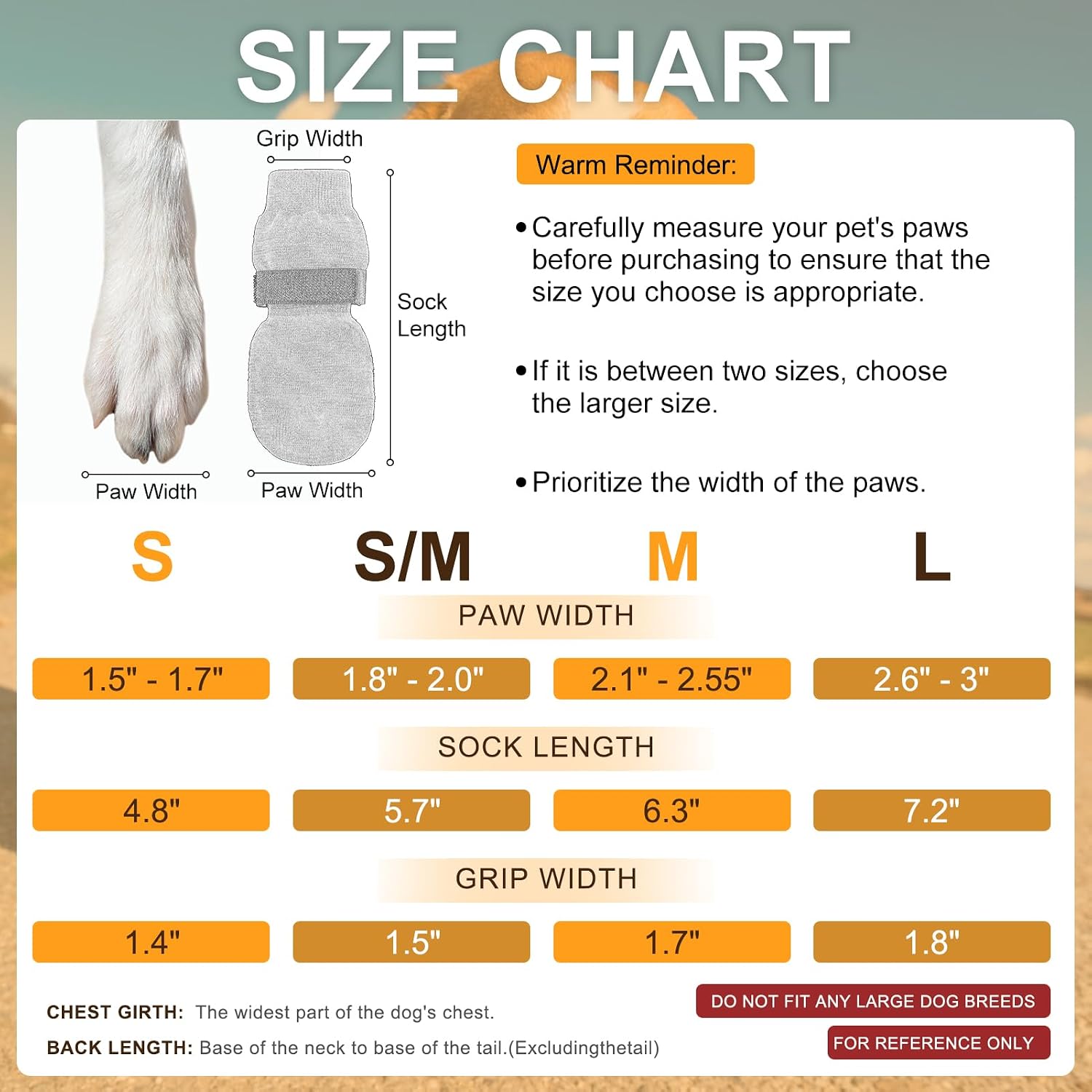 Senior dog walking safely with Beautyzoo traction socks