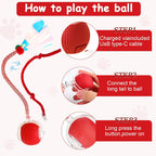 Rechargeable smart pet ball components and USB charging port