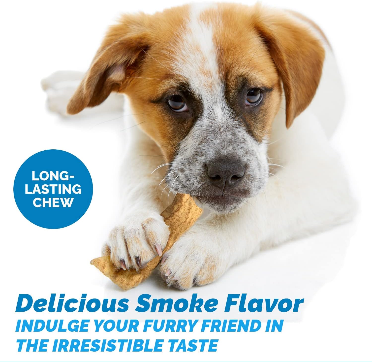 Dog chewing on natural beef rawhide chips