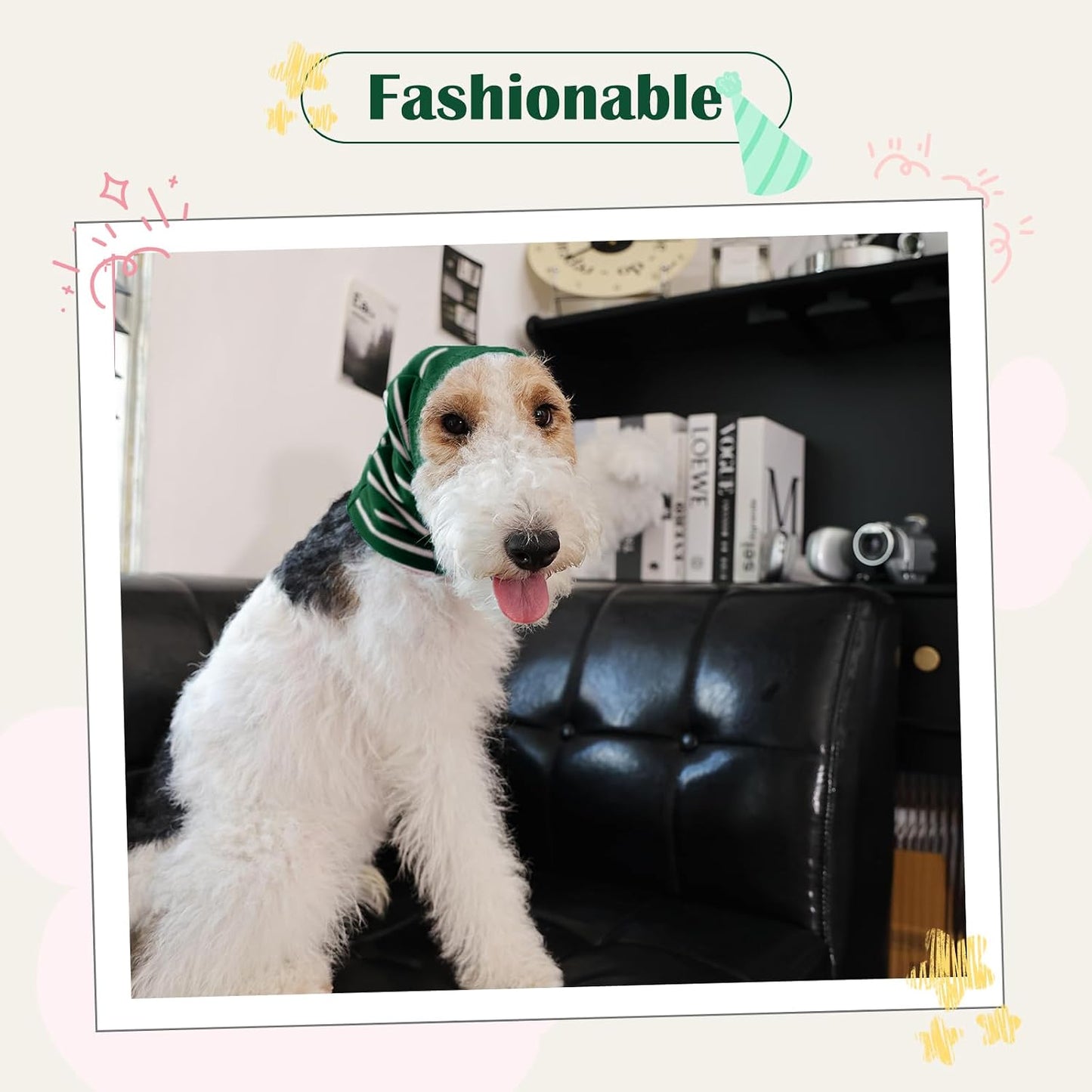 Nanaki calming cap for dogs ears protection lifestyle image