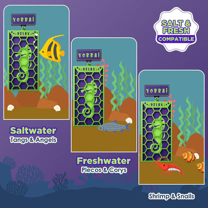 YOBBAI seaweed feeder showing powerful resin sealed N52 magnets