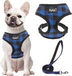 PUPTECK Soft Mesh Dog Harness Small Sized and Leash Set Pet Puppy Cat Comfort Padded Vest No Pull Harnesses, Beige, S - Image 14