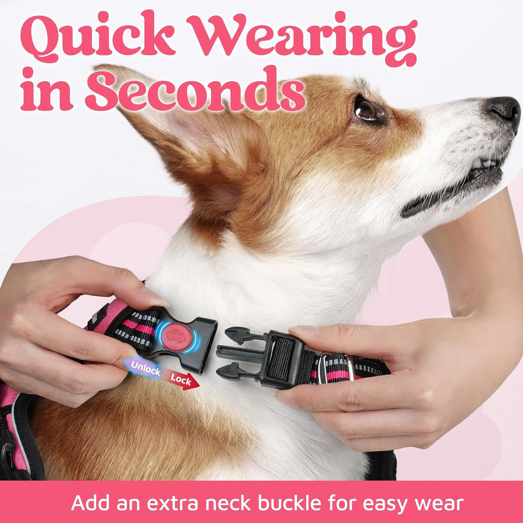Rabbitgoo adjustable dog walking harness showing three quick release buckles